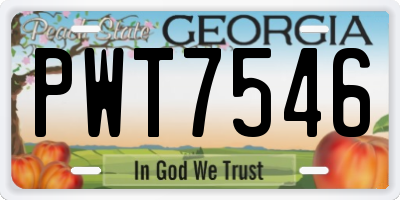 GA license plate PWT7546