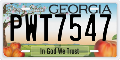 GA license plate PWT7547