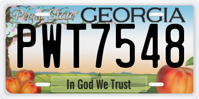 GA license plate PWT7548