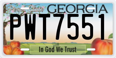 GA license plate PWT7551