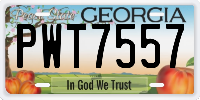 GA license plate PWT7557