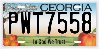GA license plate PWT7558