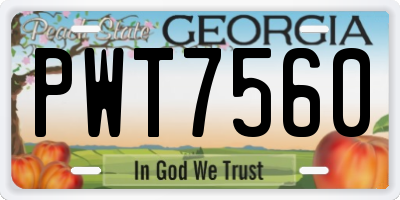 GA license plate PWT7560