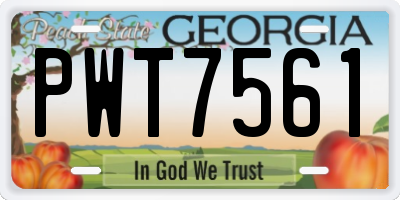 GA license plate PWT7561