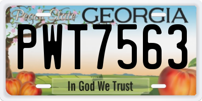 GA license plate PWT7563