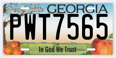 GA license plate PWT7565