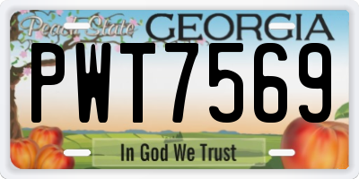 GA license plate PWT7569
