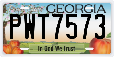 GA license plate PWT7573