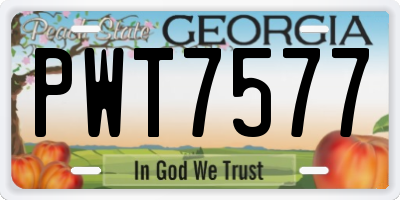 GA license plate PWT7577