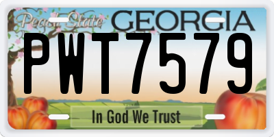 GA license plate PWT7579
