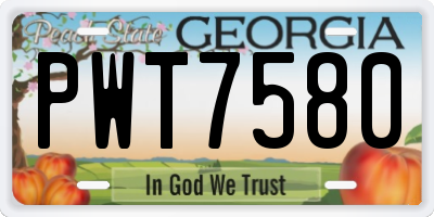 GA license plate PWT7580