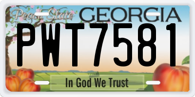 GA license plate PWT7581