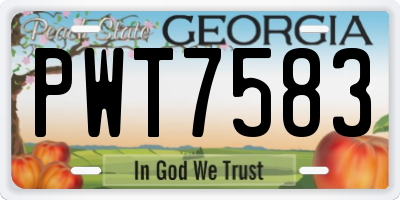 GA license plate PWT7583