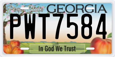 GA license plate PWT7584