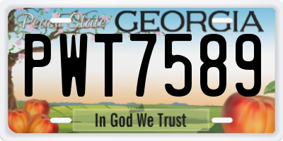 GA license plate PWT7589