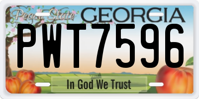 GA license plate PWT7596