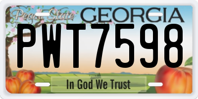 GA license plate PWT7598