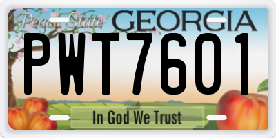 GA license plate PWT7601