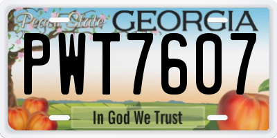 GA license plate PWT7607