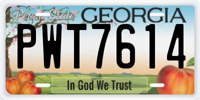 GA license plate PWT7614