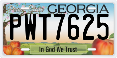 GA license plate PWT7625