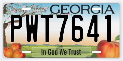 GA license plate PWT7641