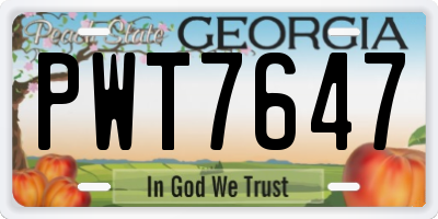 GA license plate PWT7647
