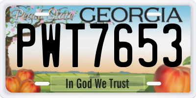 GA license plate PWT7653