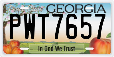 GA license plate PWT7657
