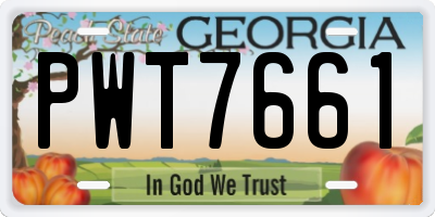 GA license plate PWT7661