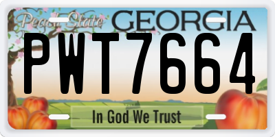 GA license plate PWT7664