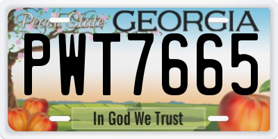 GA license plate PWT7665