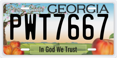 GA license plate PWT7667