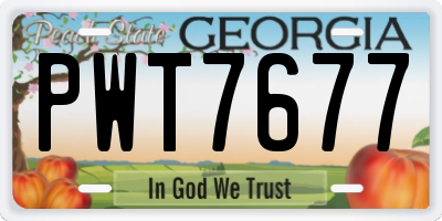 GA license plate PWT7677