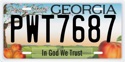 GA license plate PWT7687