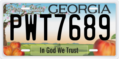 GA license plate PWT7689