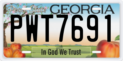 GA license plate PWT7691