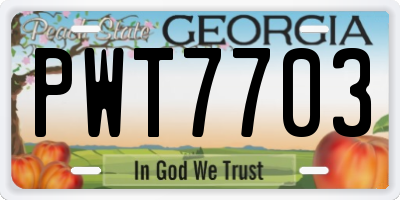 GA license plate PWT7703