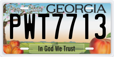 GA license plate PWT7713