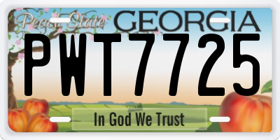 GA license plate PWT7725