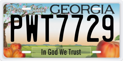 GA license plate PWT7729