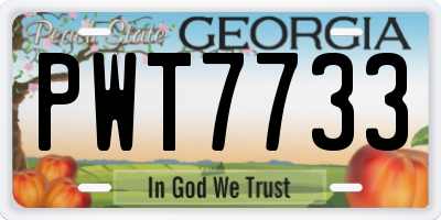 GA license plate PWT7733