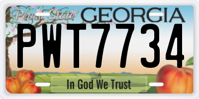 GA license plate PWT7734