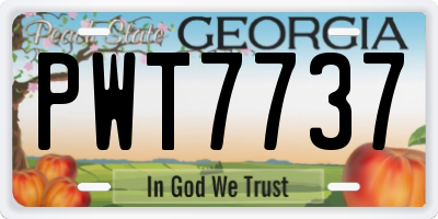GA license plate PWT7737