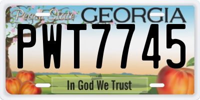 GA license plate PWT7745