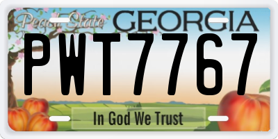 GA license plate PWT7767