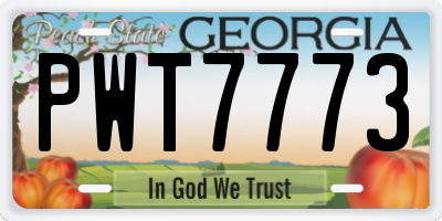 GA license plate PWT7773