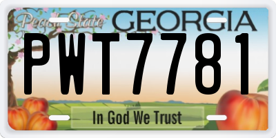 GA license plate PWT7781