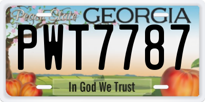 GA license plate PWT7787