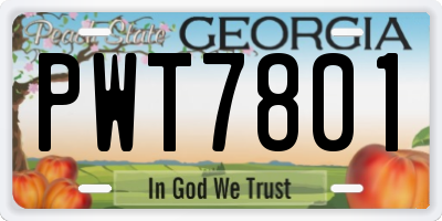 GA license plate PWT7801